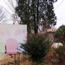 산머루마을 영농조합법인 네이버블로그