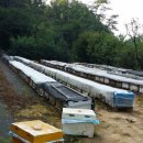 서영농장 이미지