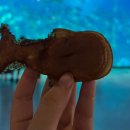 중앙농약종묘사 이미지