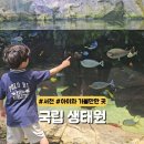 서천주차장 | 국내 최대규모 국립생태원 후기 주차장 정보 서천 아이와 가볼만한곳