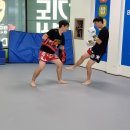 태호멀티짐 이미지