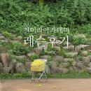 전미라 | 전미라 아카데미 레슨 후기