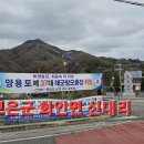 해군참모총장 양용모 이미지