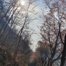 금강변길 이미지