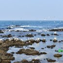 초지로3 이미지