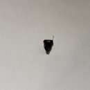 독일보청기 이미지