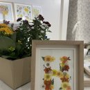 [백석]힐링플라워(압화) | 💐 김해 부케 말리기 &amp; 프리미엄 압화액자 제작전문 원데이클래스 후기 | 플라워레터 🌸