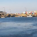 멍 때리는 전망대 이미지