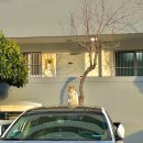 으뜸독일보청기 화명본점 이미지