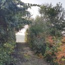 쌍정2리 이미지