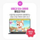 초등 영어 고민 해결 | 영어학원 대신 선택한 캐츠잉글리시 내돈내산 후기