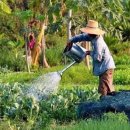 제일 행정사 이미지