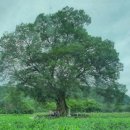 김삿갓로 이미지