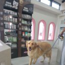 표선동물병원 이미지