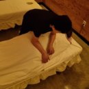 짝꿍아로마