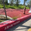 주정차-19 이미지