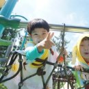 명촌근린공원 이미지