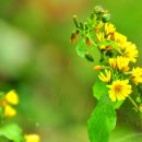 개운한날 이미지