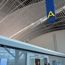 629 | 인천 발리 덴파사르 대한항공 KE629 프레스티지 후기