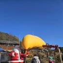 백두대간 협곡열차1206 이미지