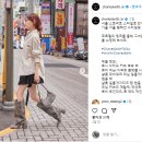 니키스 이미지