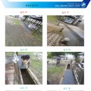 효령초등학교 이미지