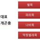 제3강 꽃가루받이 곤충의 실체 (줌) 이미지
