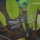 센트럴하나공인중개사사무소 이미지