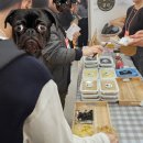 국제세차장 | 제20회 서울국제식품산업전 11.1 토요일 방문하고 세계의 주인 본 후기