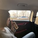 대전여인숙 | 대전 여행(3/28-30)