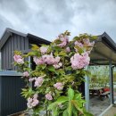 우보공인중개사사무소 이미지