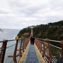 대왕암공원 | 울산 대왕암공원 출렁다리 후기, 소나무숲길 따라 걷는 힐링 산책코스