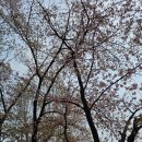 상계주공호랑이공인중개사사무소 이미지