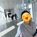 겨울 일본 마쓰야마 여행 1일차 - 팡메종, 高麗苑(야키니쿠)