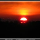 숲속에일출좋은펜션 이미지