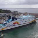 썬플라워 이미지