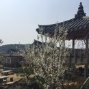남극노인성휴양펜션 | 서귀포한옥펜션 남극노인성휴양펜션에서 여유로운 제주 즐기고 왔어요!