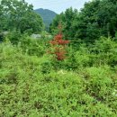 선현농장 이미지