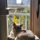 세븐일레븐 영종씨에로점 이미지