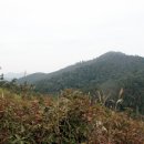 함평고등학교 이미지