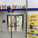 커뮤니캣 고양이 호텔&미용실 | 고양이 미용, 호텔, 카페 다되는 원주 고양이 카페 [오묘]