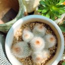 소정농장 이미지