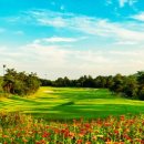 대호단양CC(대중제) 이미지