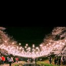 쓰담쓰담해줄개 이미지