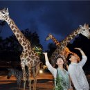 알뜰랜드 이미지