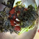 생명의 바다 1.2 이미지