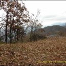 삼거리목장 이미지