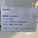 손씨(sonsy)