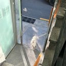 모두스타일 | 부산 수영 제제스타일 남, 여 모두 잘하는 브라질리언 왁싱 후기 채광맛집 네일샵