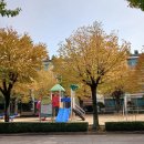 새빛안경원 이미지